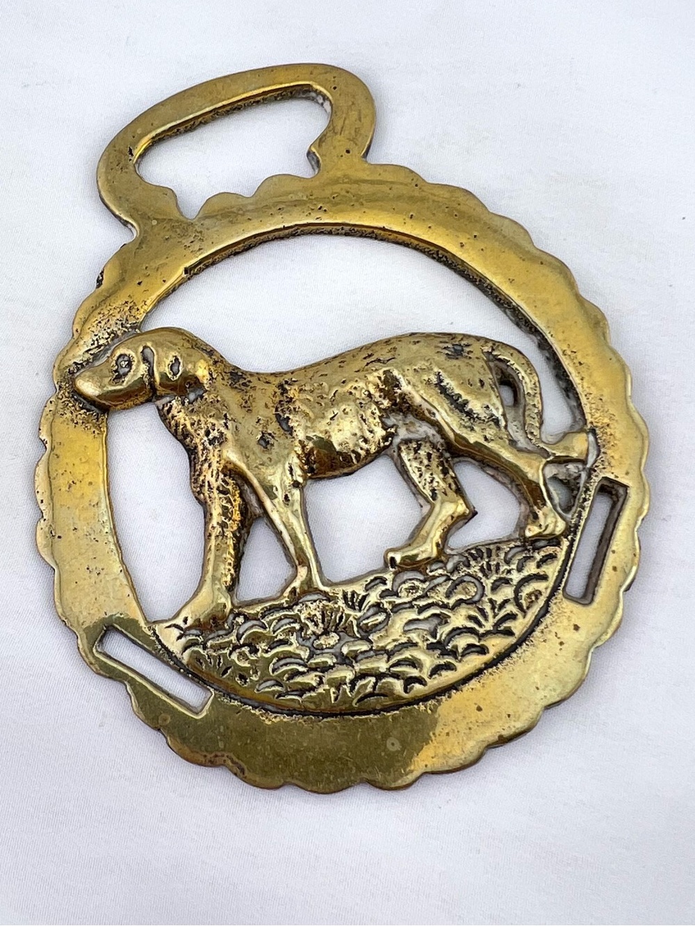 Brass Horse Medallion Antique English Hunt Hound Retrieve Pup Dog Parade Harness